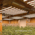 House Plant LED Grow Light Diming Setup